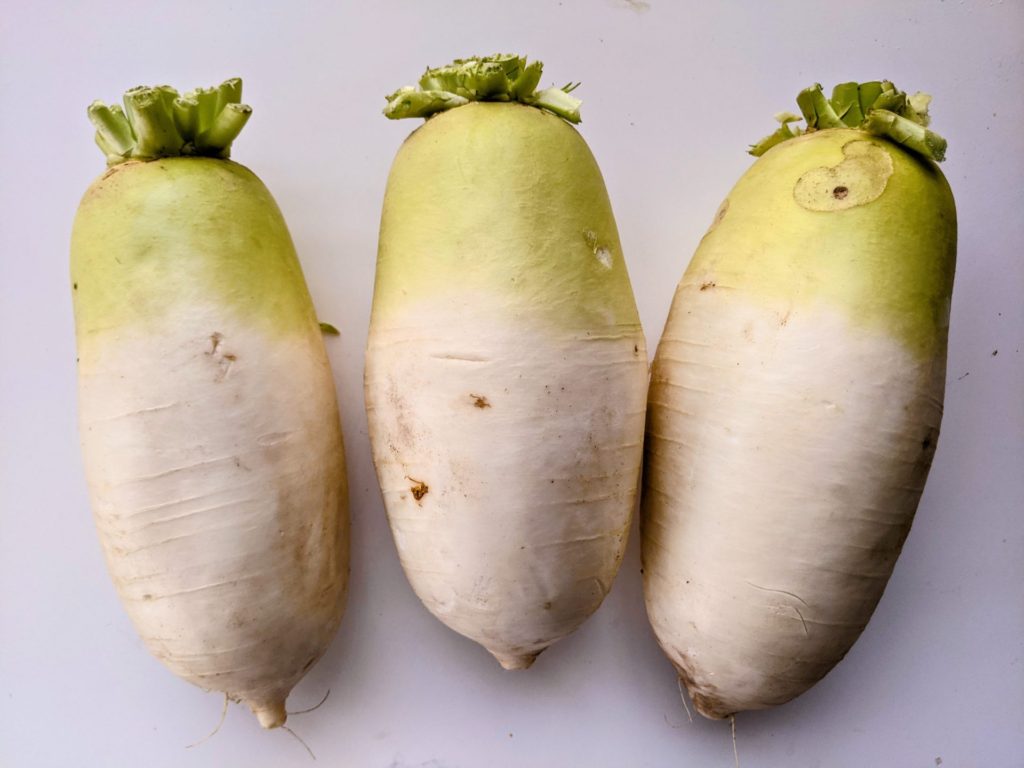 daikon radish balls